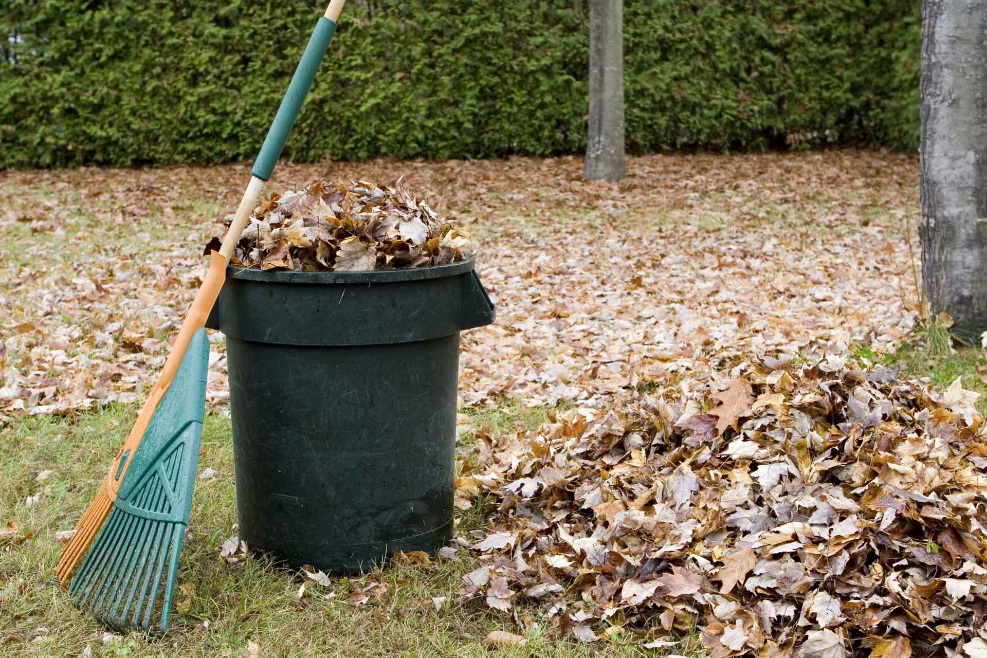 Read more about the article Yard waste benefits?