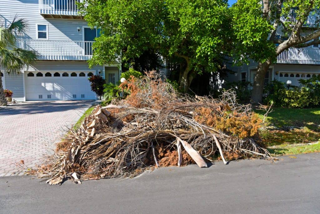 Read more about the article Yard Waste Removal
