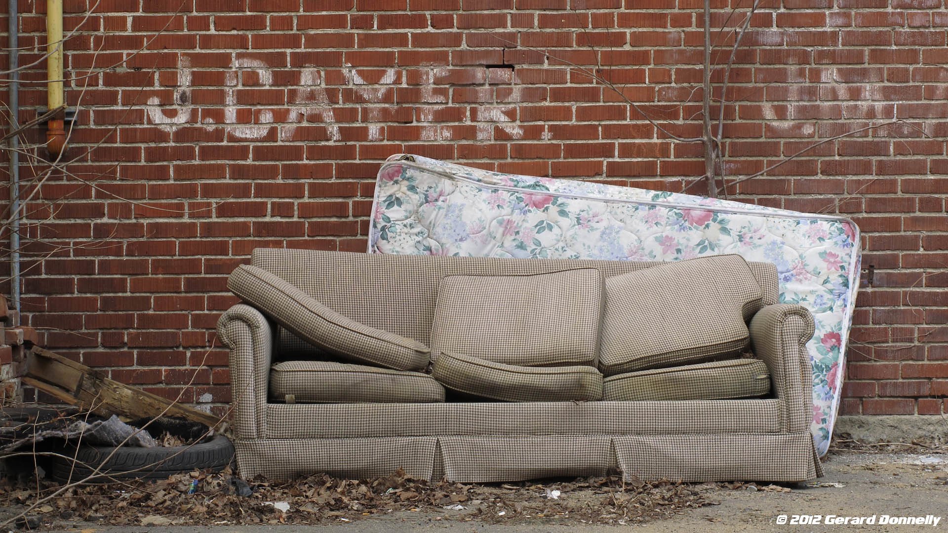 Read more about the article What You Can Do With Your Old Couch