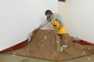 Read more about the article Remove Your Old Carpeting